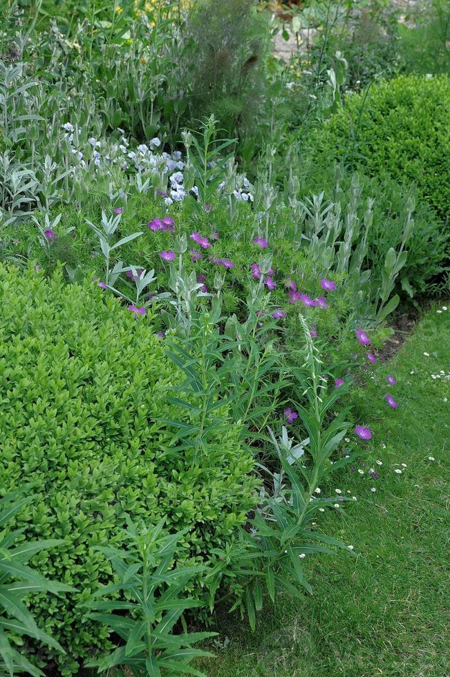 beautifull garden in westphalia photo
