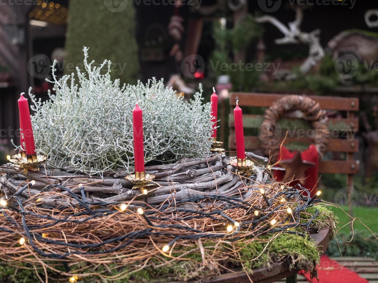 winter garden in germany photo