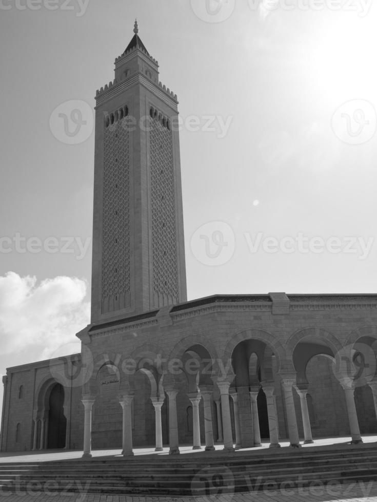 the city of tunis photo