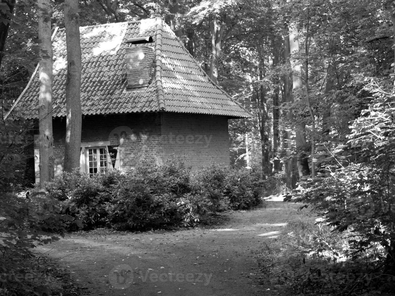 old castle in the german muensterland photo