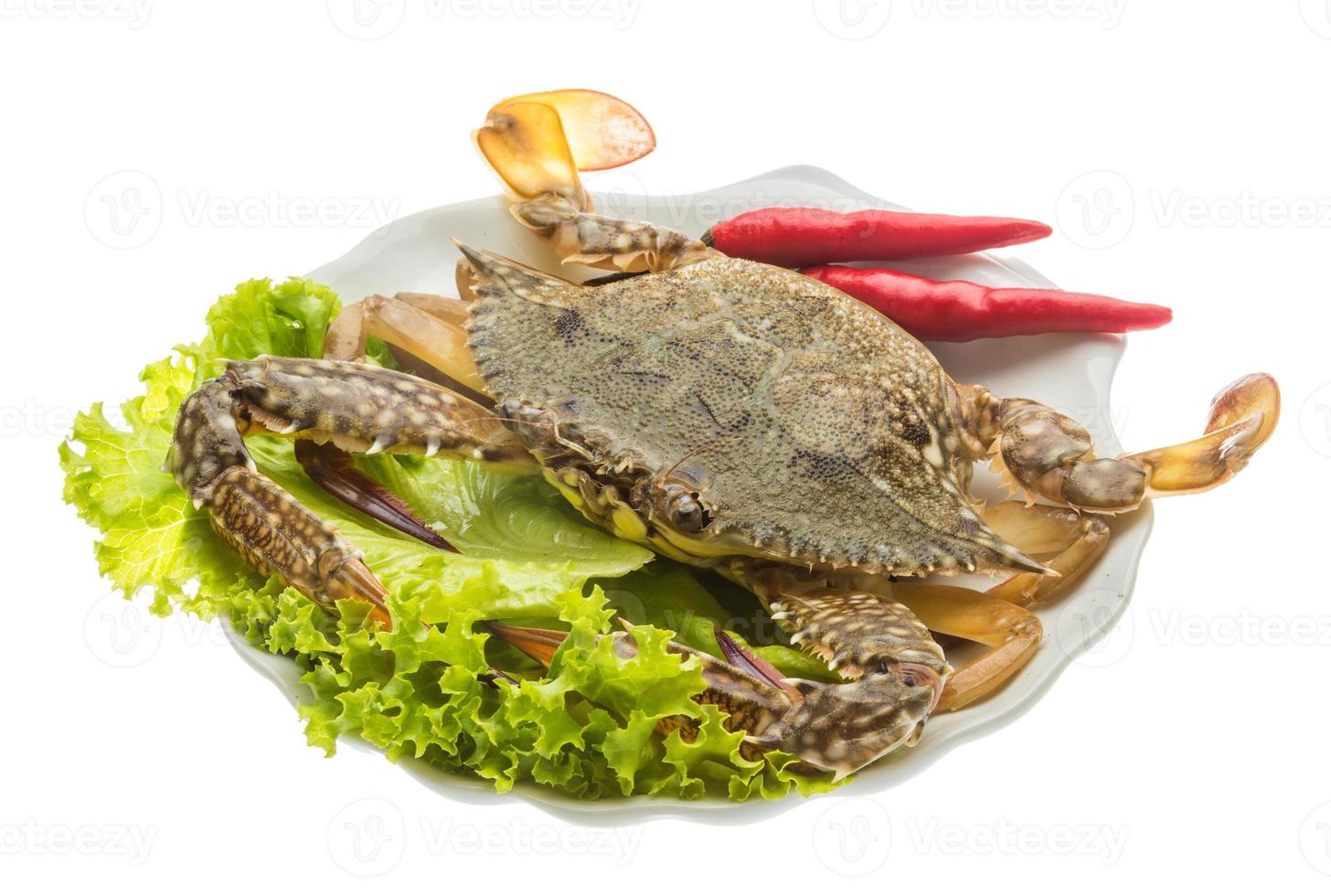 cangrejo crudo en el plato y fondo blanco foto