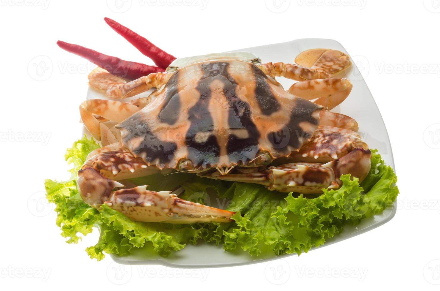 Red crab on the plate and white background photo