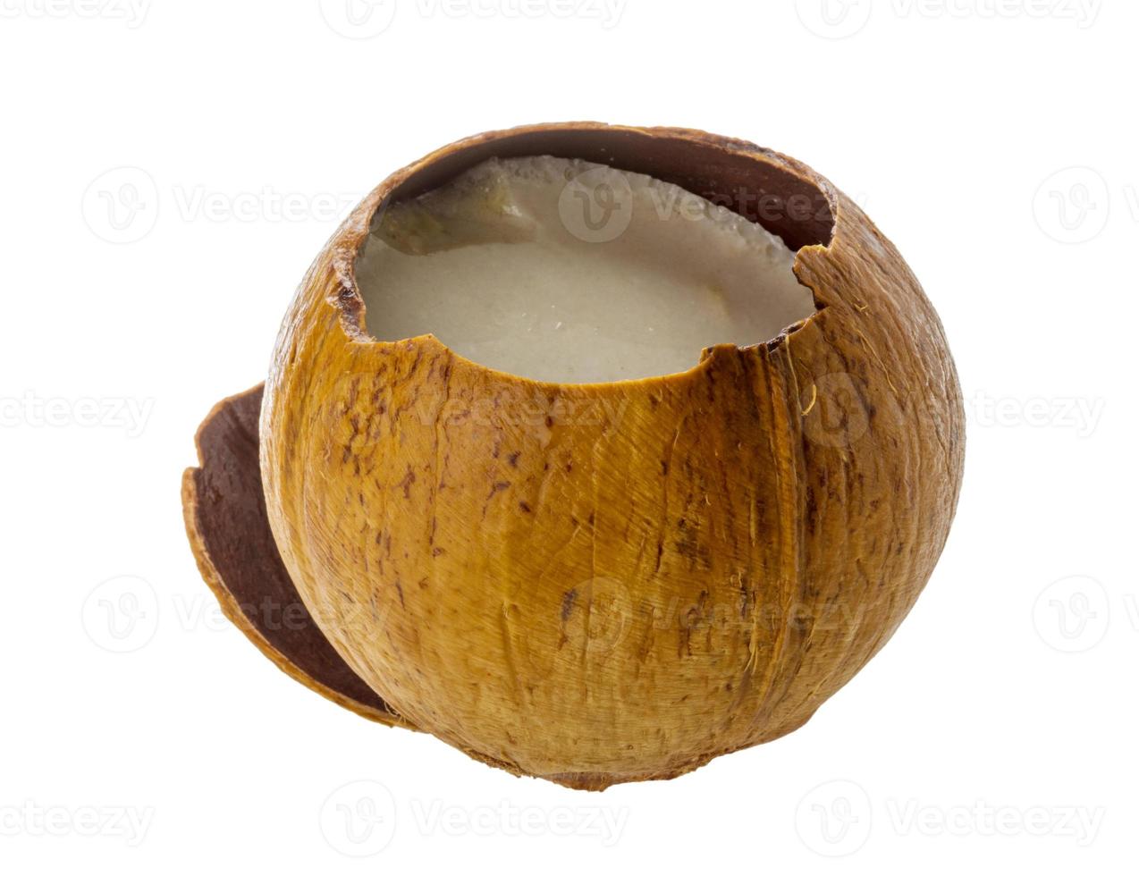 Coconut on white photo