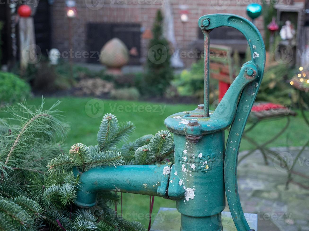 tarde de invierno en el jardín foto