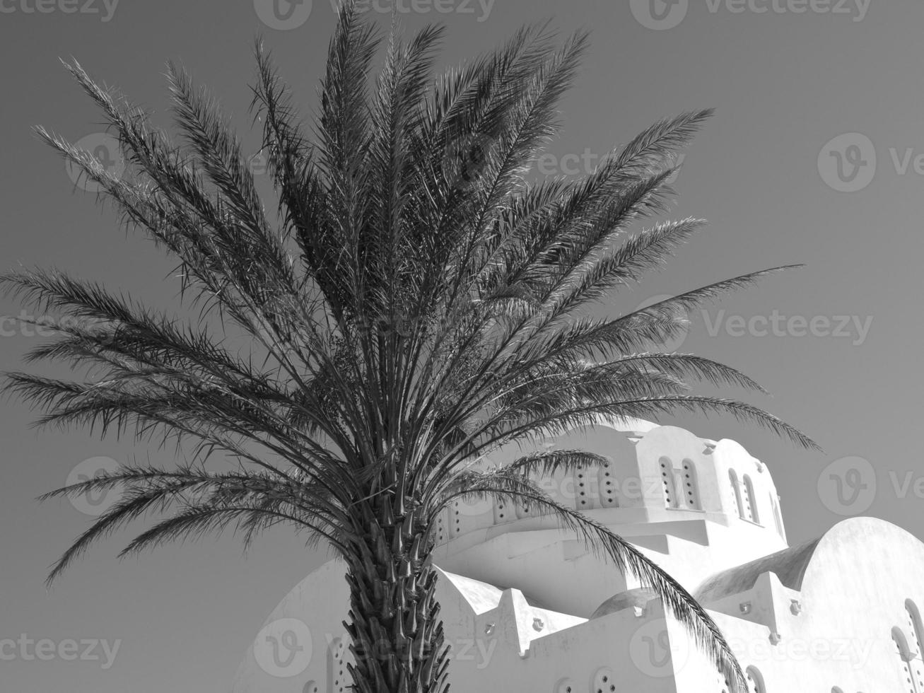 santorini island in germany photo