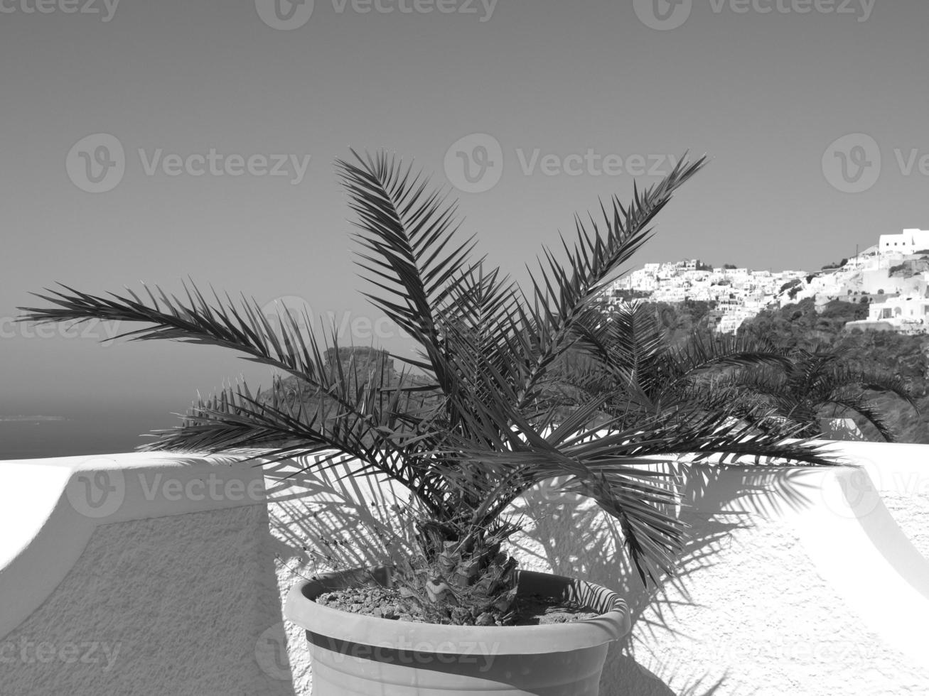 the island of Santorin photo