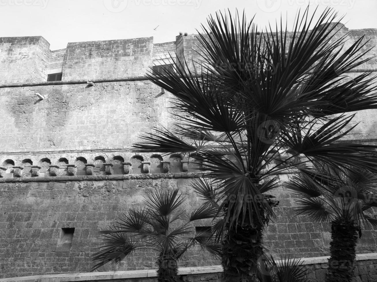 Bari in italy photo
