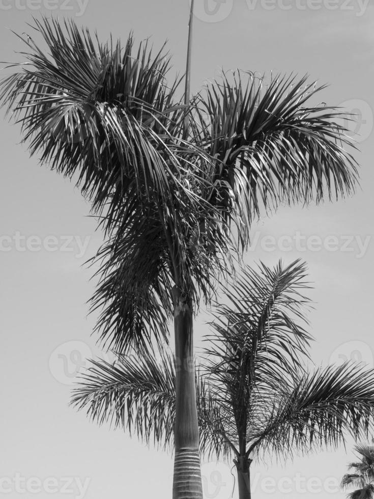 lanzarote island in spain photo