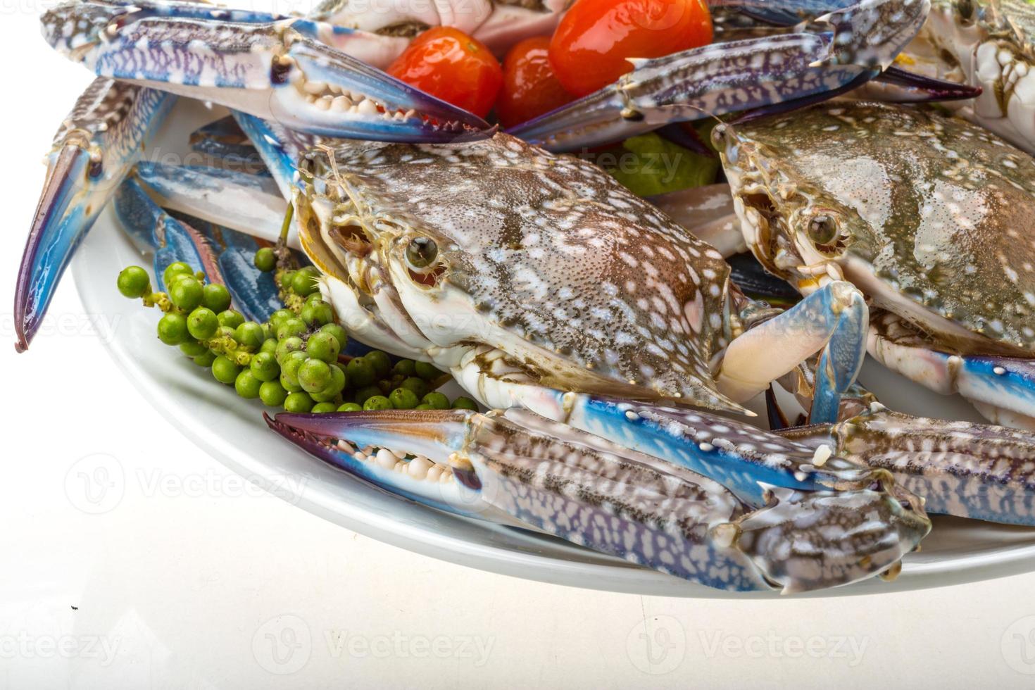 Raw blue crab on the plate photo