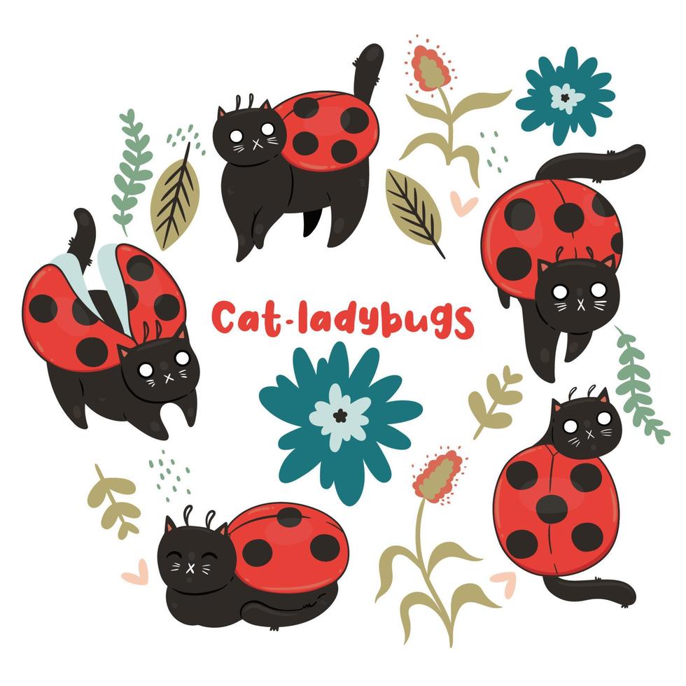 Set of ladybugs cats isolate on a white background. Vector graphics.