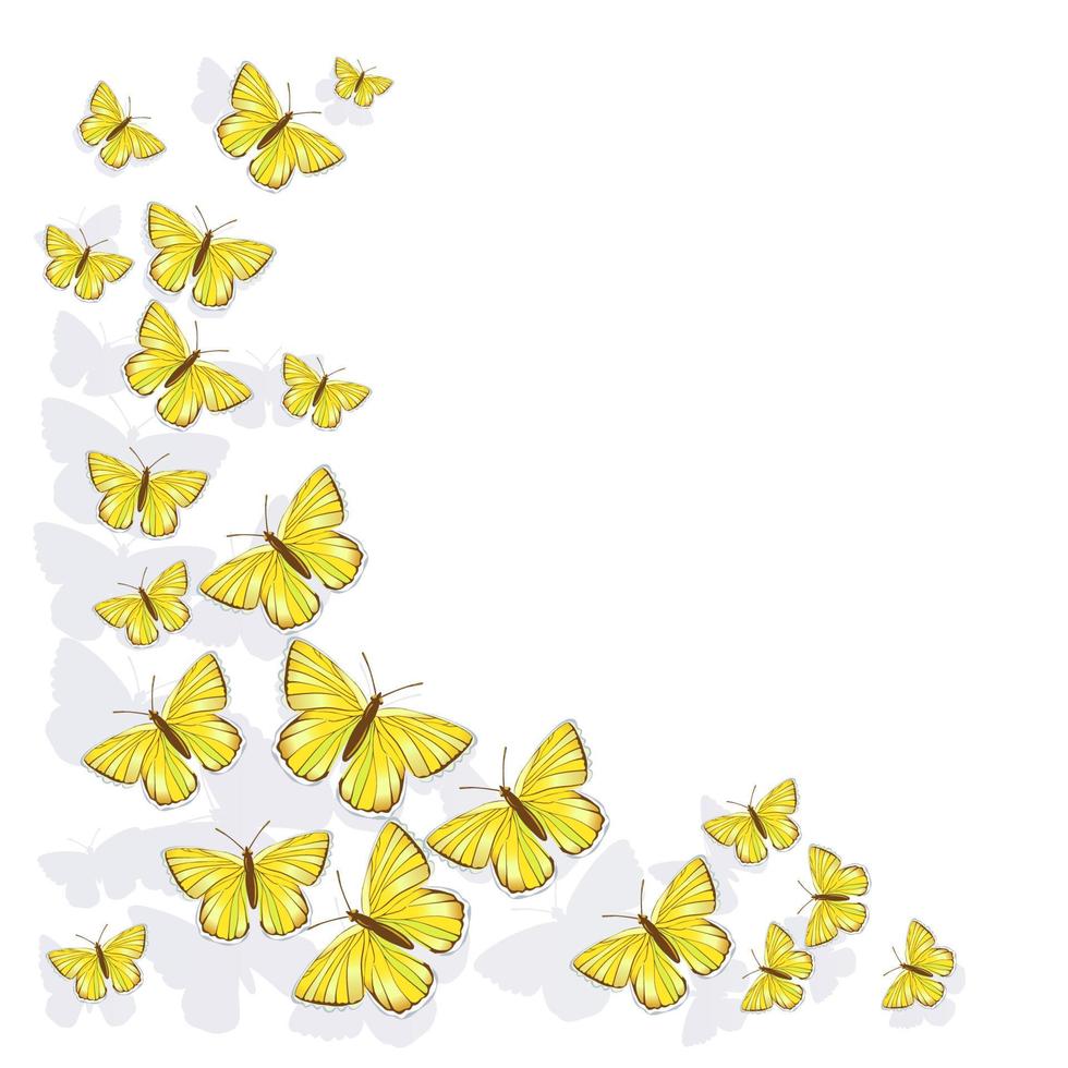 Corner frame of yellow butterflies isolated on white background. Vector clipart.