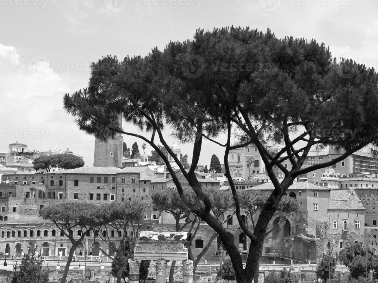 the city of Rome photo