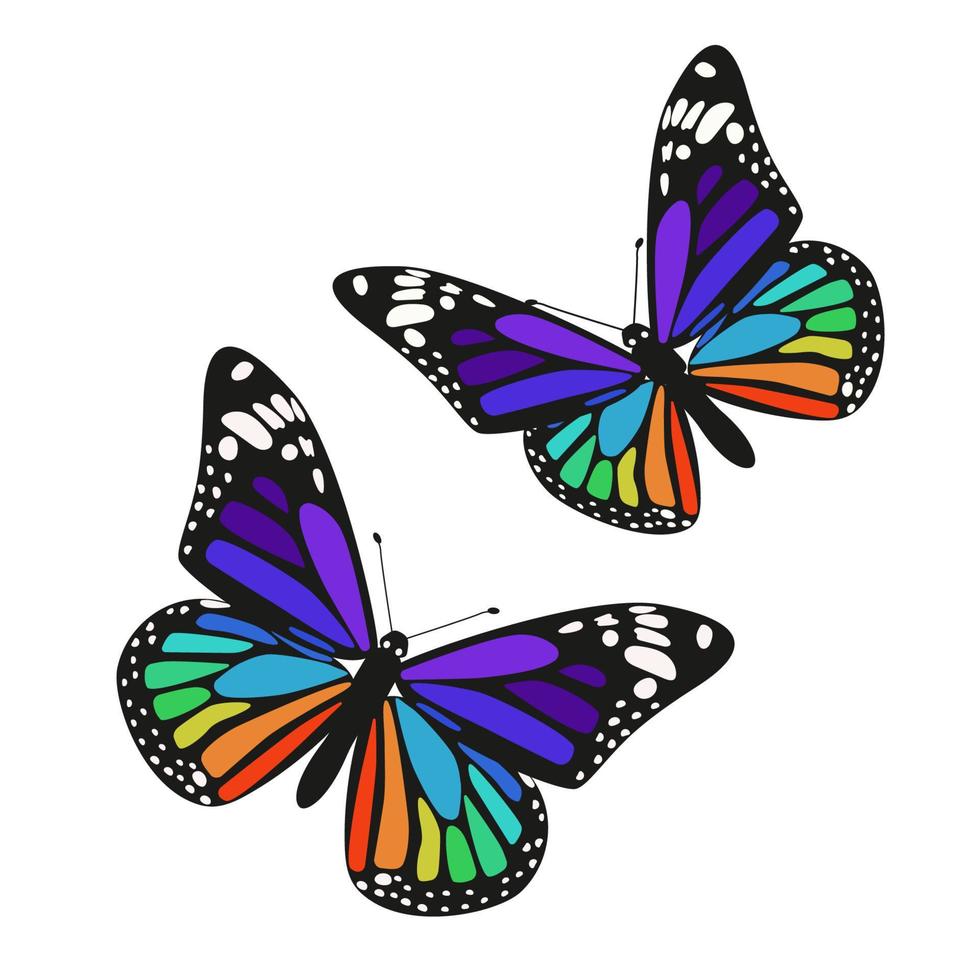 Set of two rainbow butterflies isolated on a white background. Vector graphics.