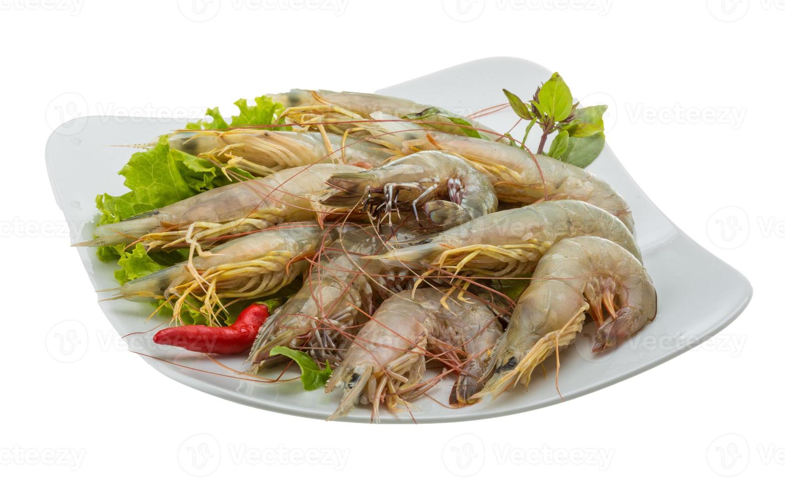 Raw tiger shrimps photo