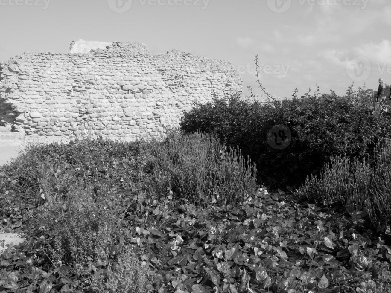 the city of tunis photo