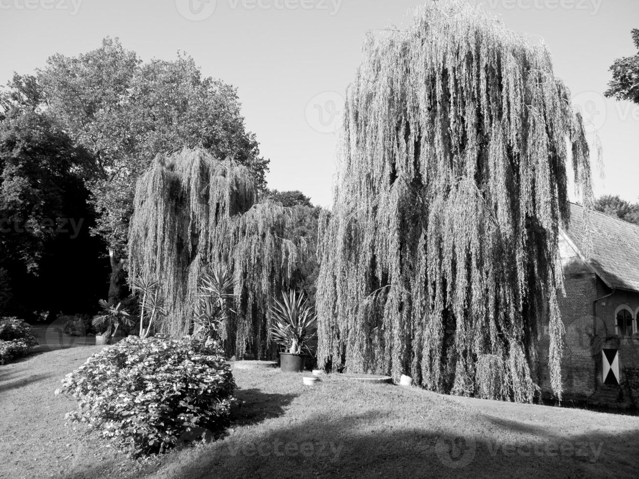 old castle in the german muensterland photo