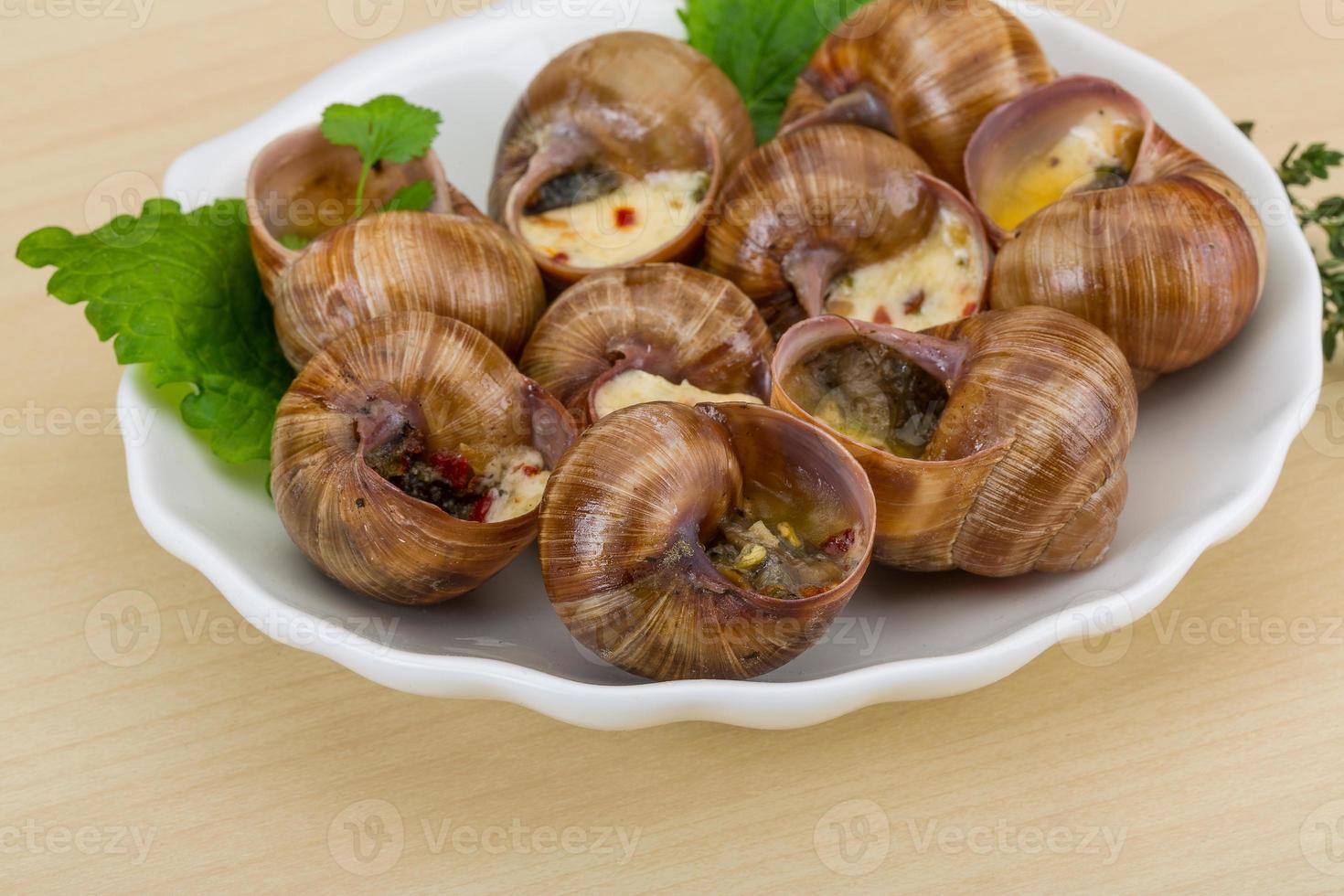 Escargot snails on a plate photo