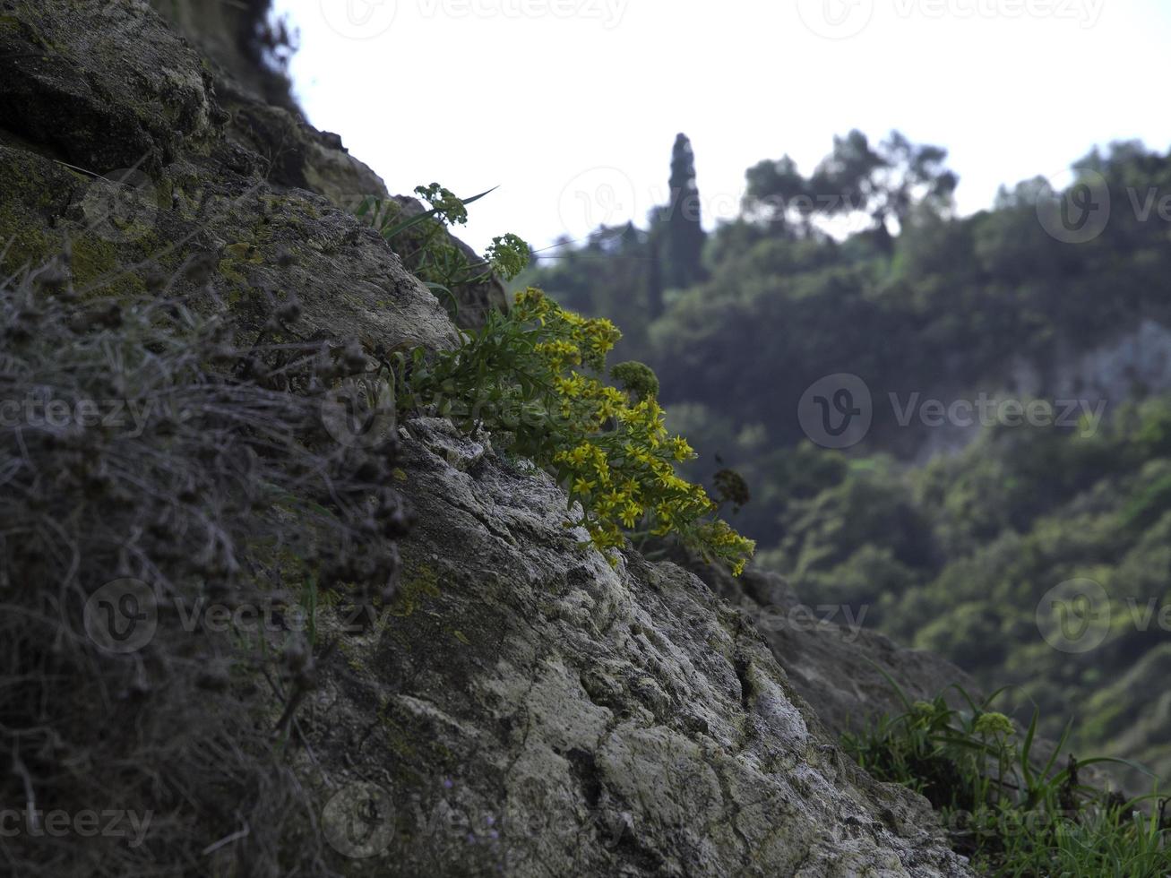 the greek island of Corfu photo