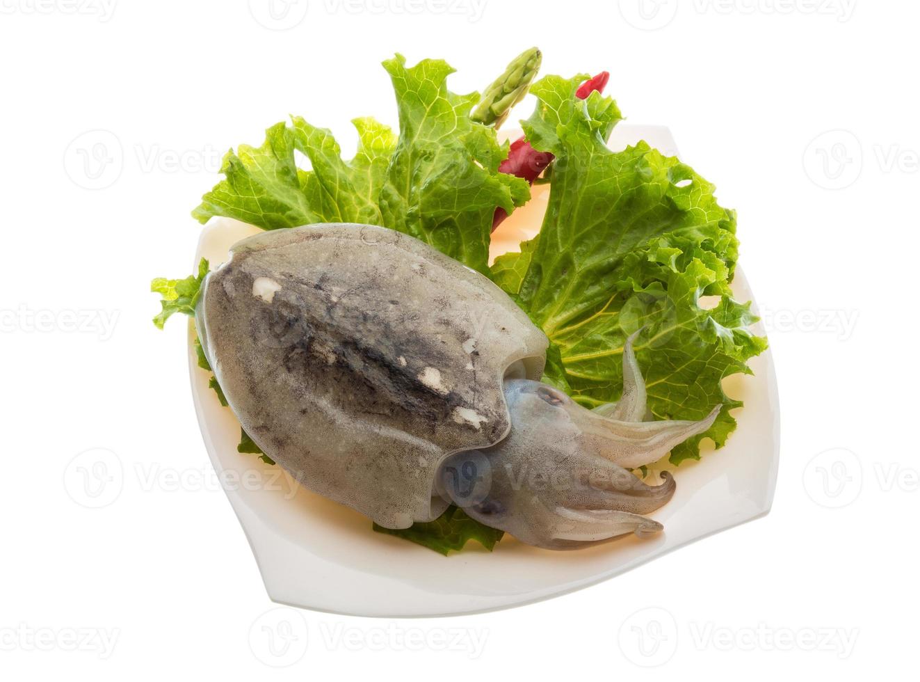 Raw cuttlefish on the plate and white background photo