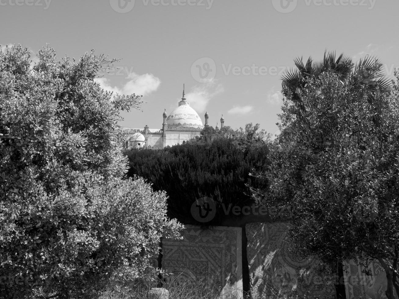 tunis in Africa photo