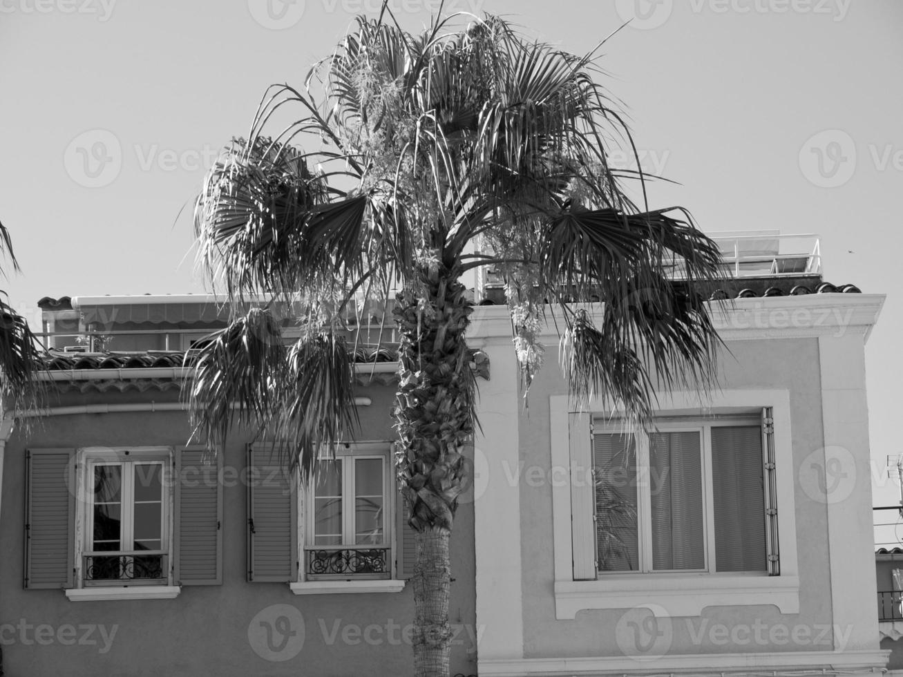 sanary sur mer in france photo