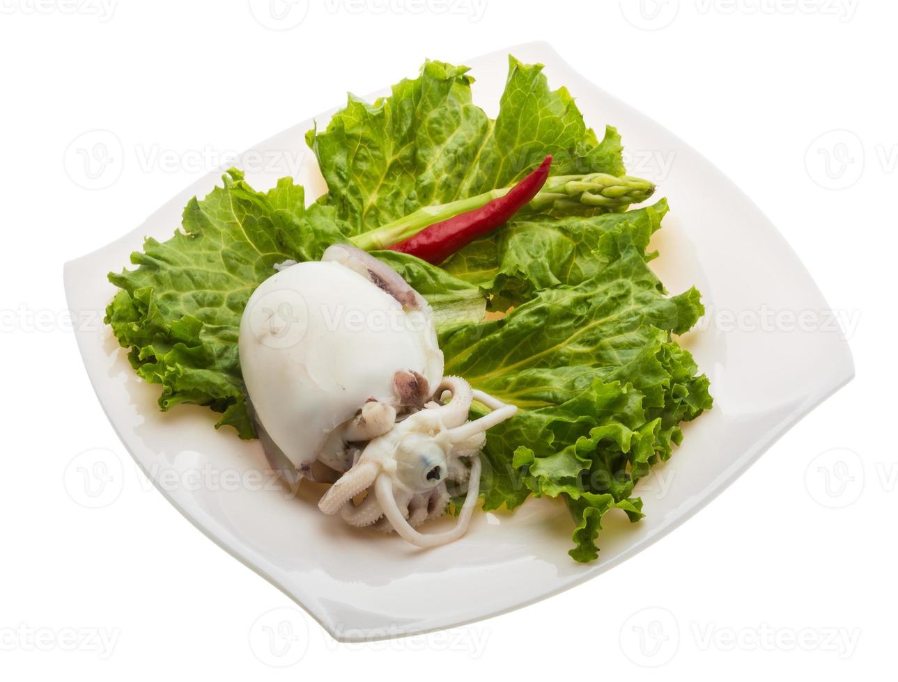 Boiled cuttlefish on the plate and white background photo