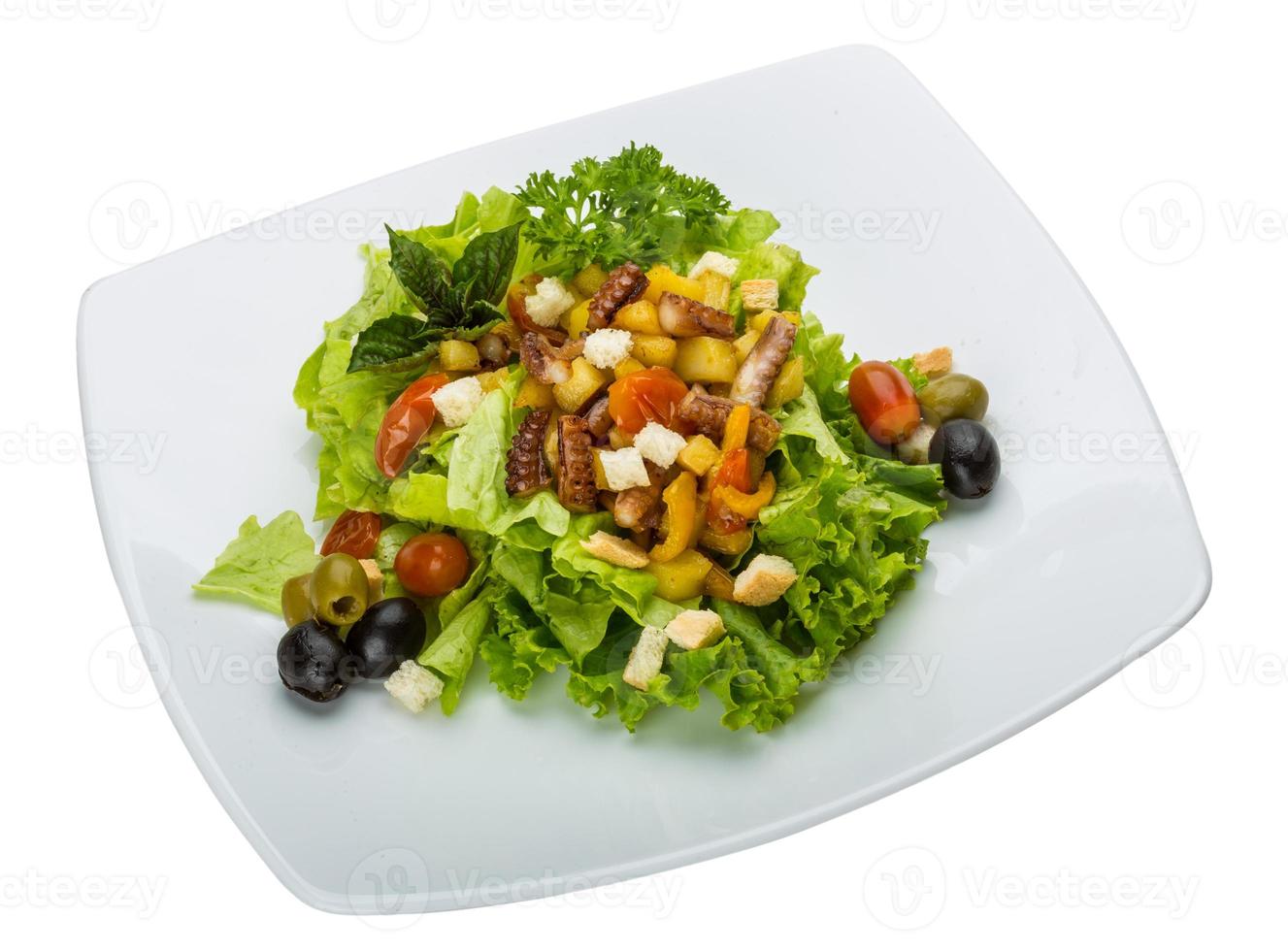 Octopus salad on the plate and white background photo