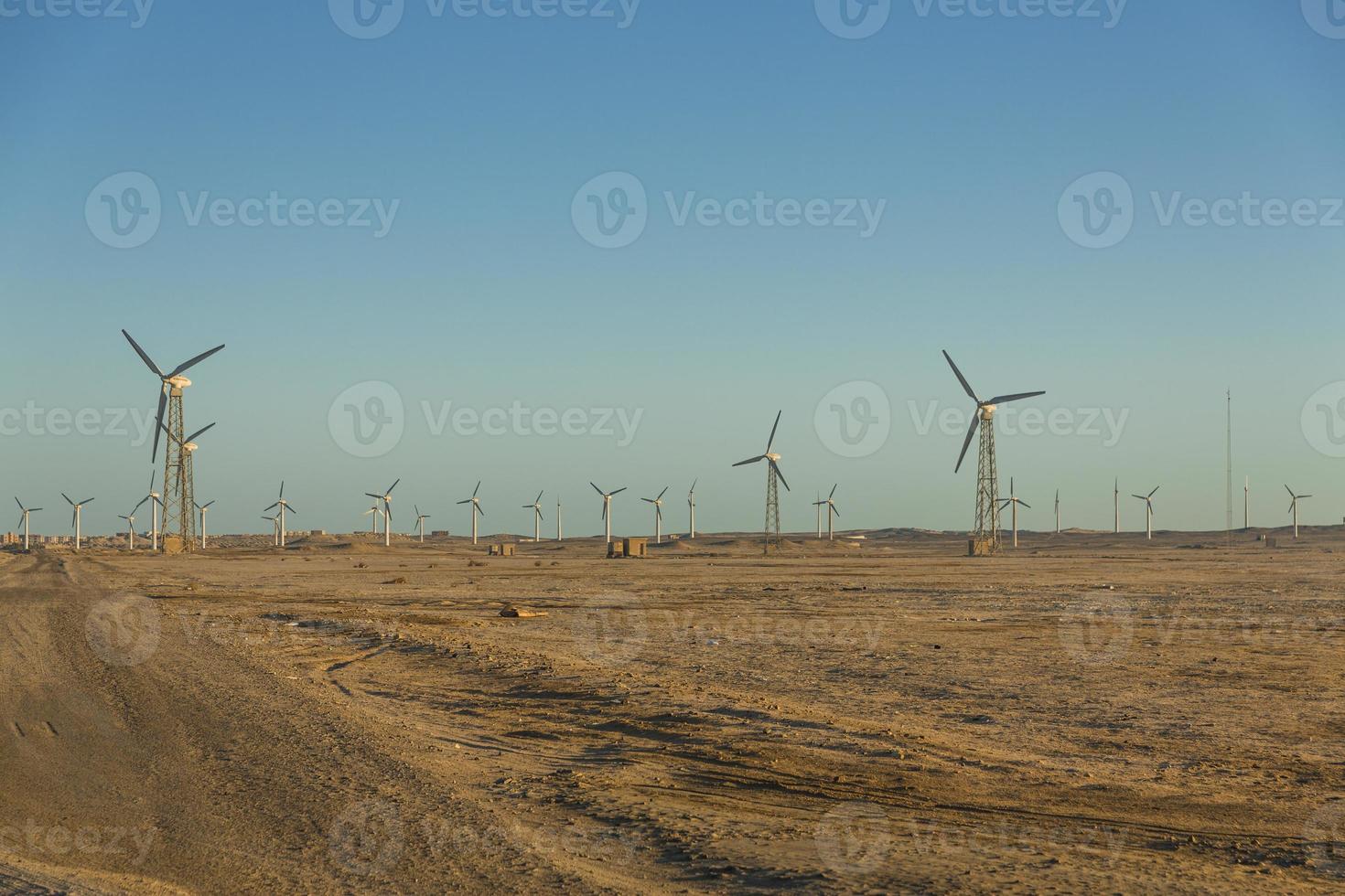 Wind farm view photo