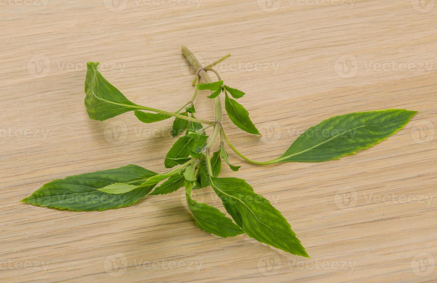 Bergamot leaves on wooden background photo