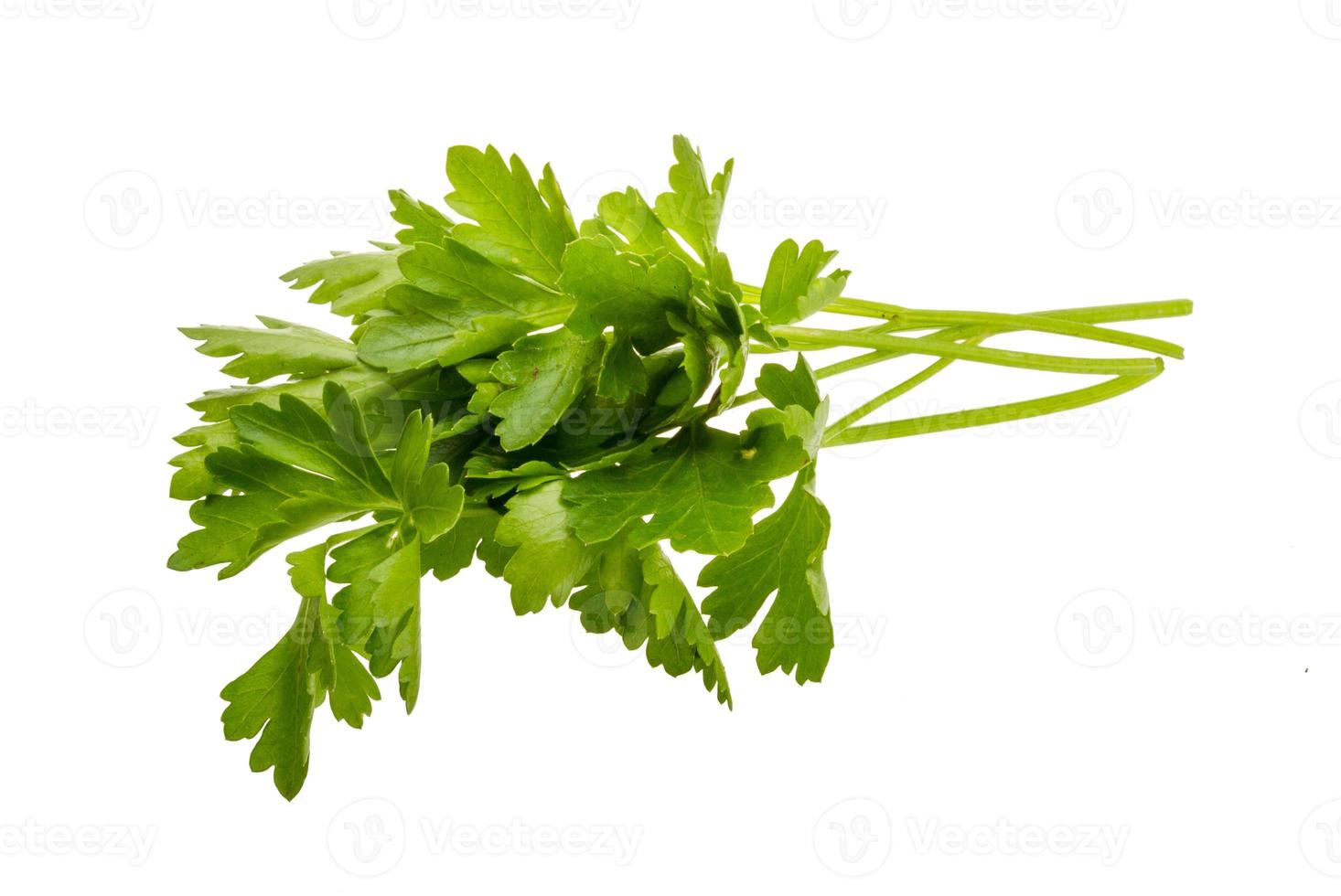 Parsley on white background photo