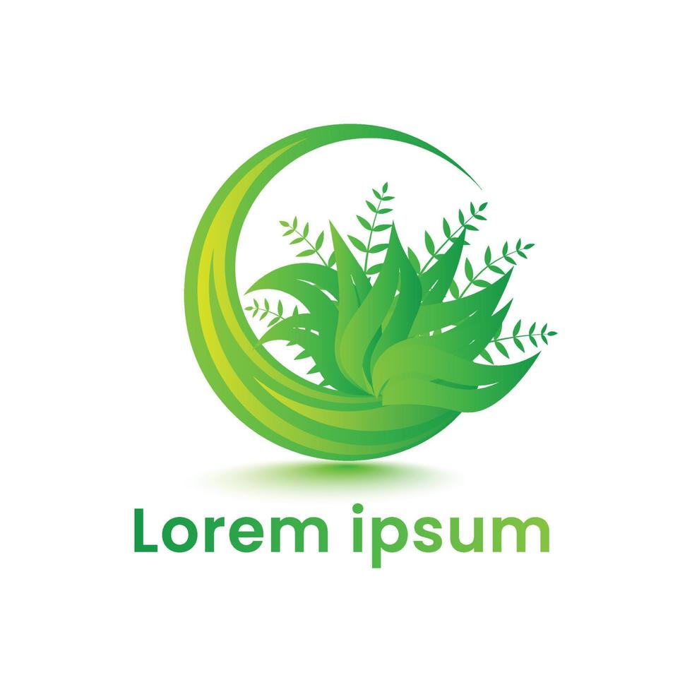 plantilla de diseño de logotipo de planta ecológica de color verde natural vector