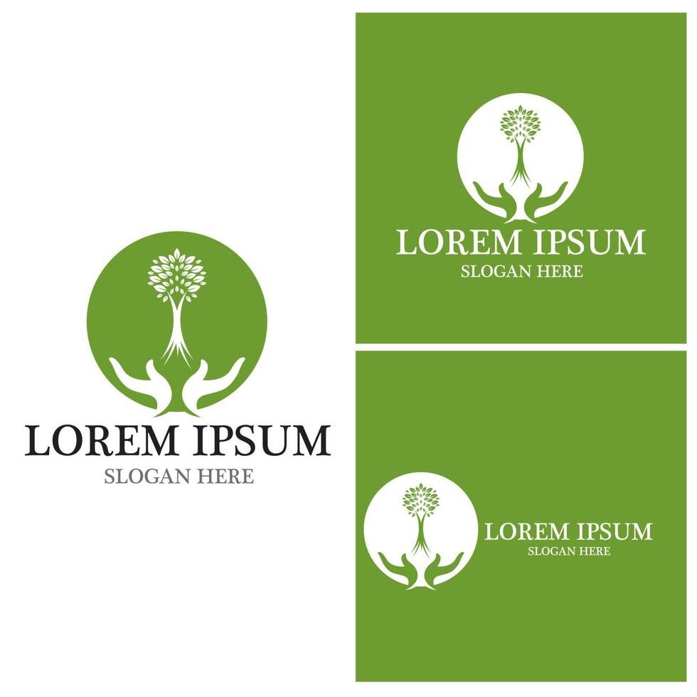 Tree icon and symbol vector template