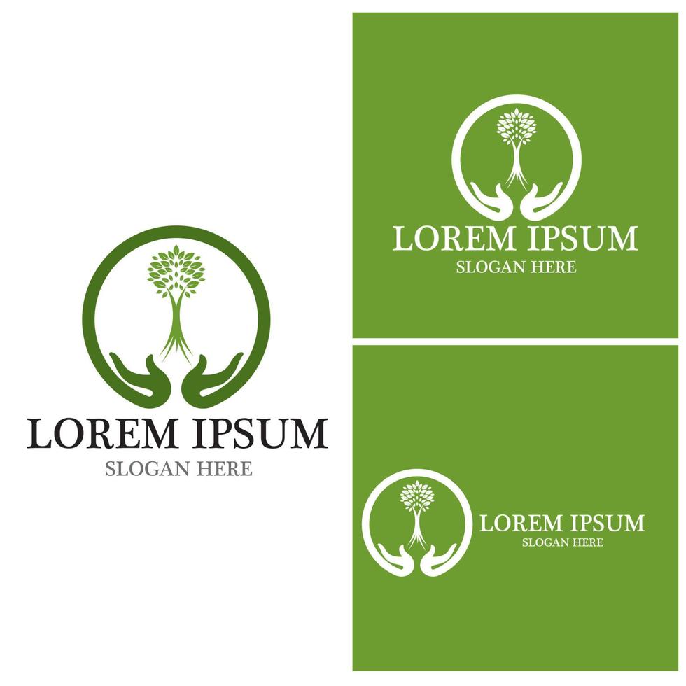 Tree icon and symbol vector template