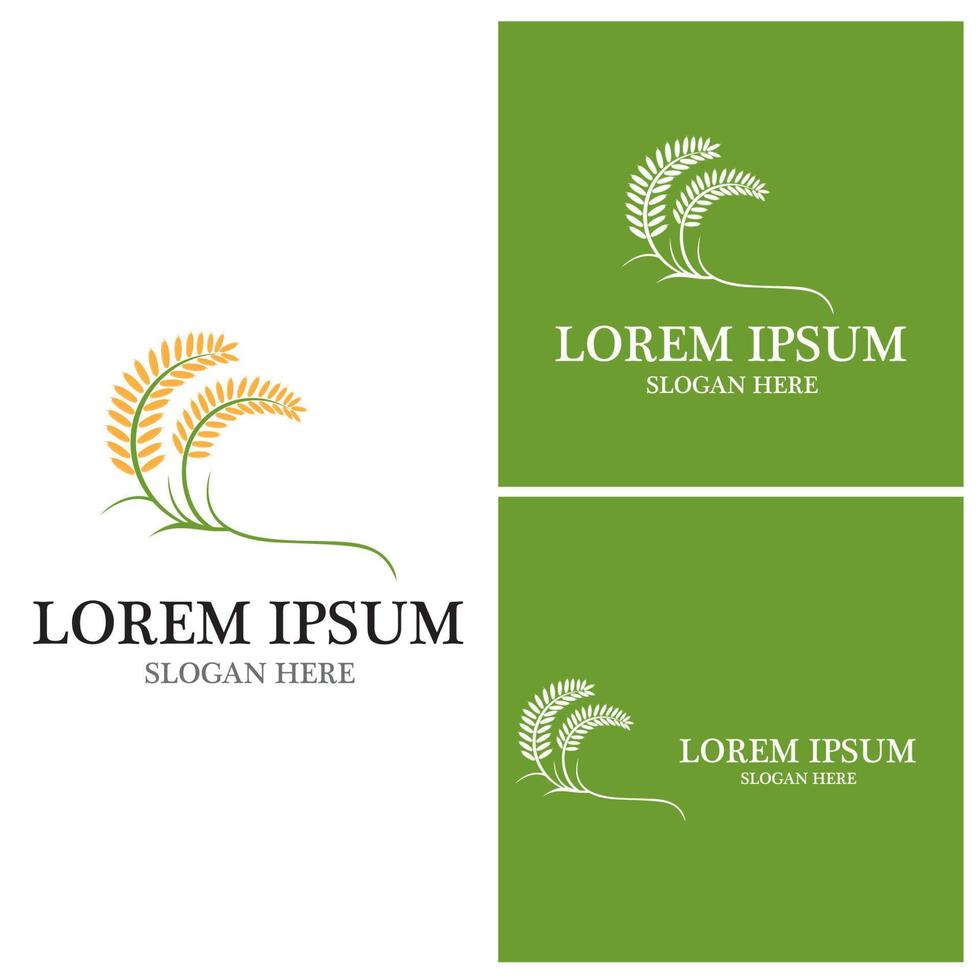 Agriculture wheat vector