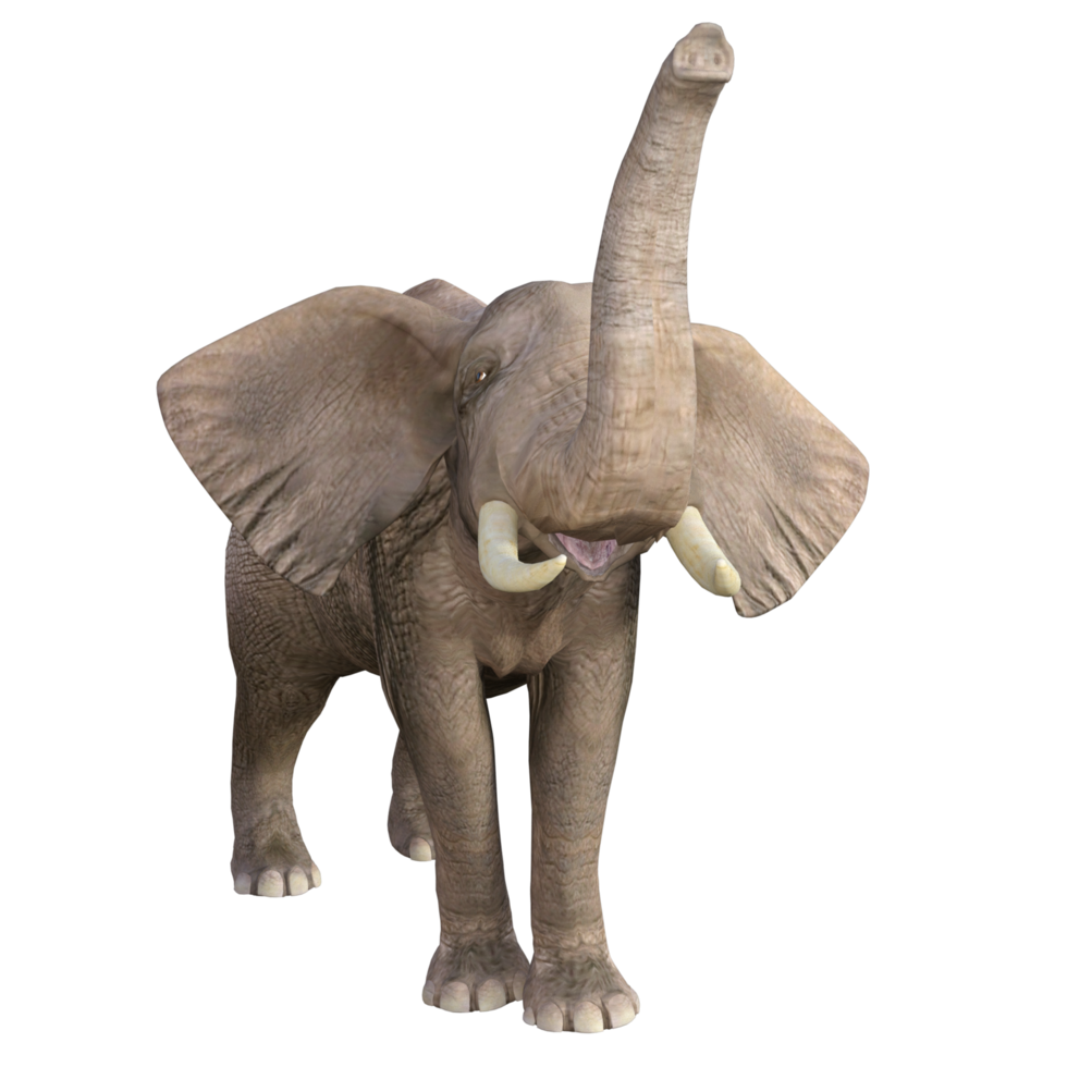olifant 3d illustratie png