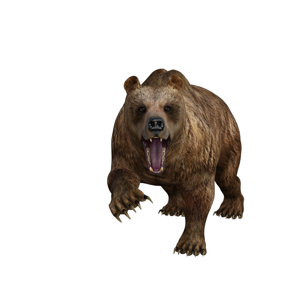 urso de ilustração 3D png