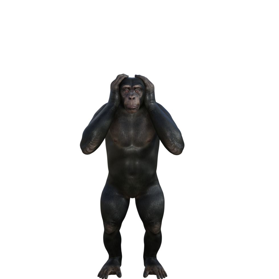 chimpanzee 3d render png