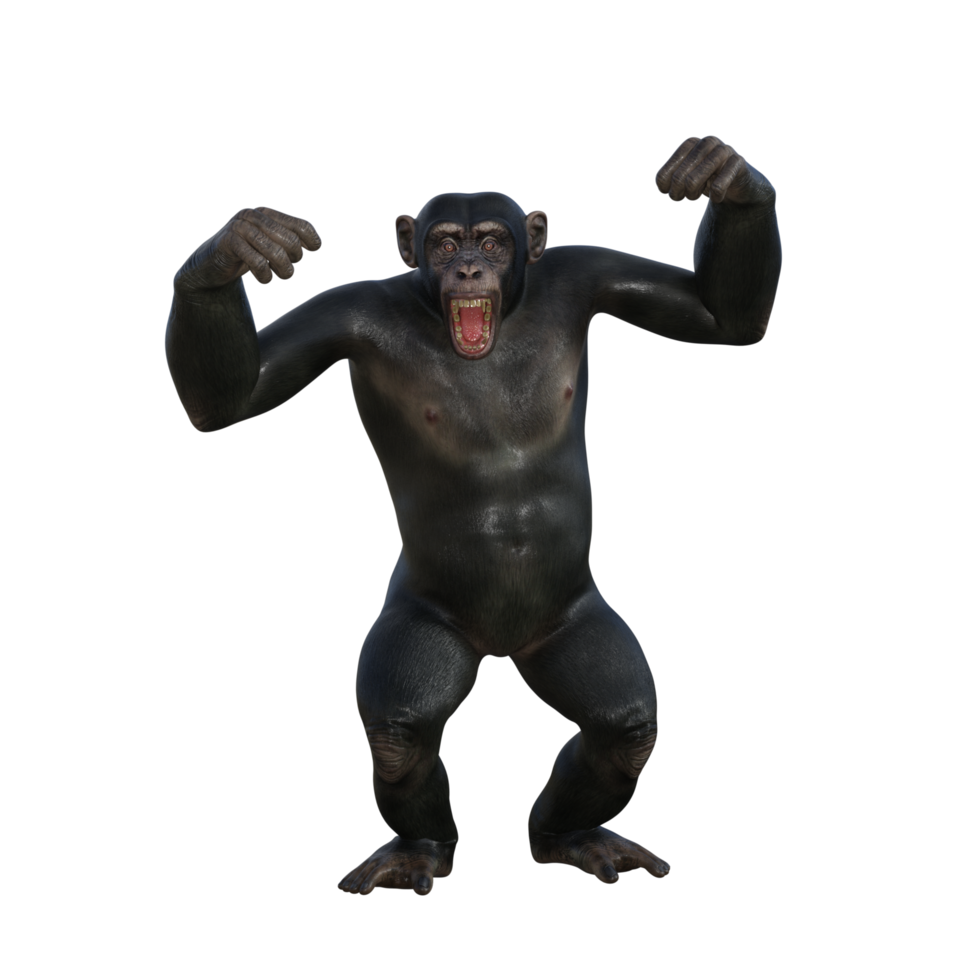 render 3d de chimpancé png