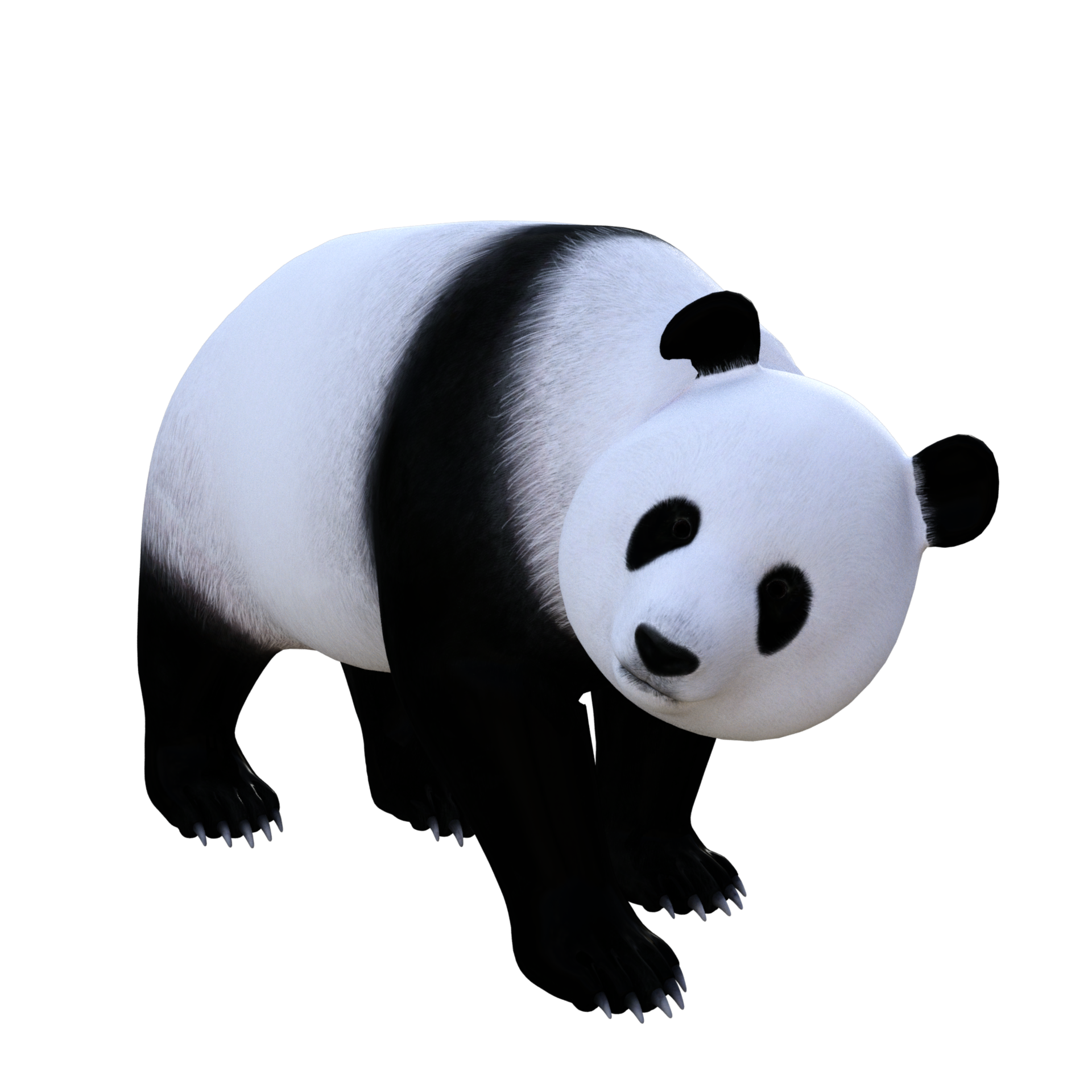 Panda Imagens PNG, 9400+ Recursos gráficos para download gratuito