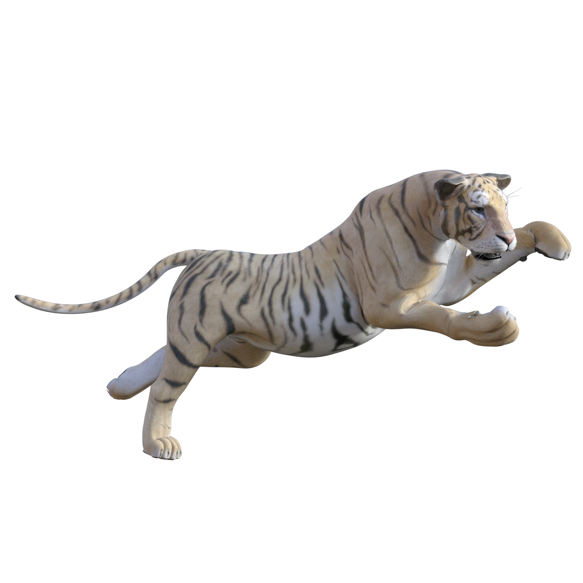 Animado Tigre 3D model - Baixar Animais no