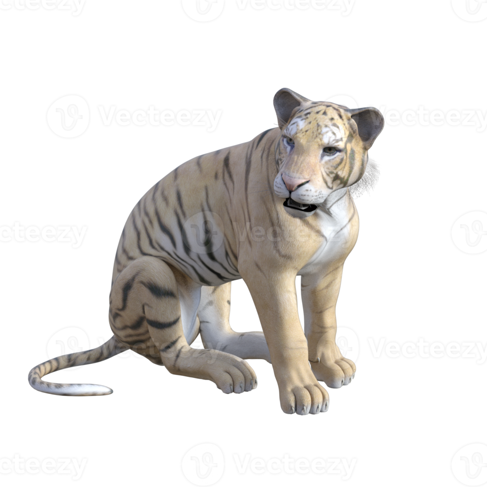 Tiger 3d model illustration png