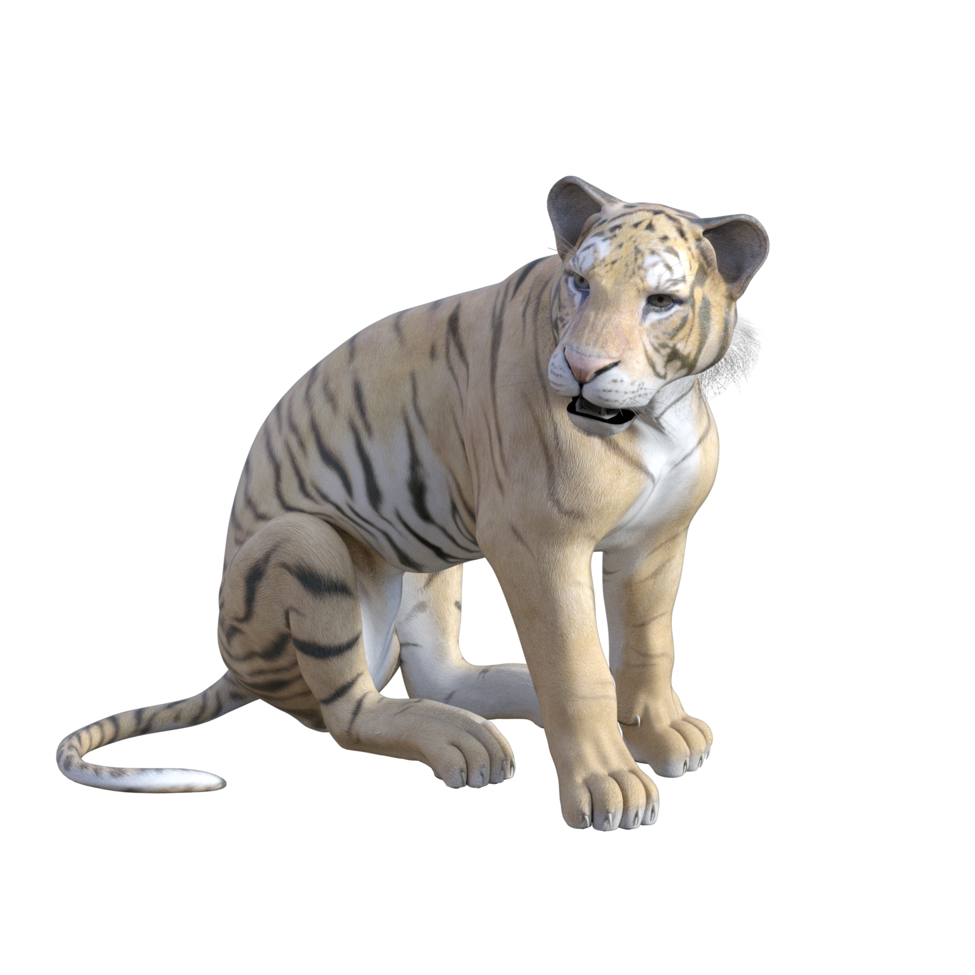 Free Tiger 3D Models