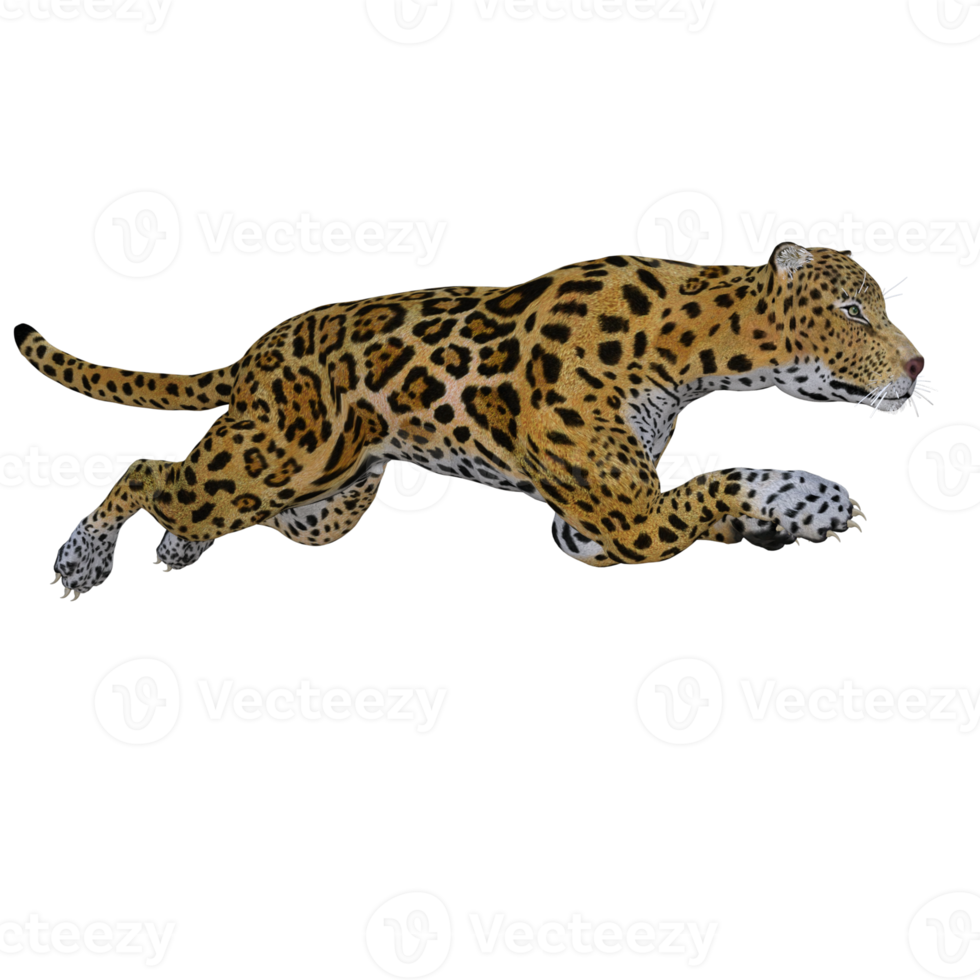 Jaguar 3d pose illustration model png