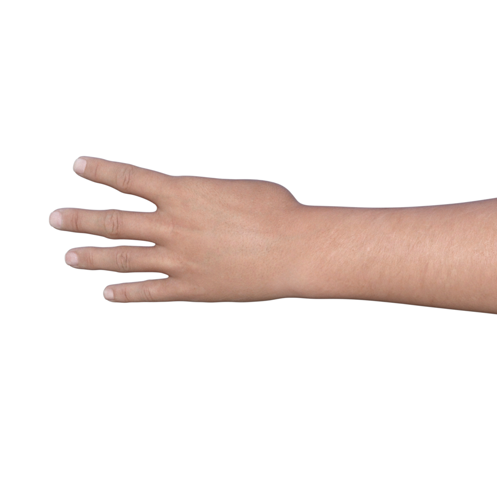 hands pose gesture 3d rendering png