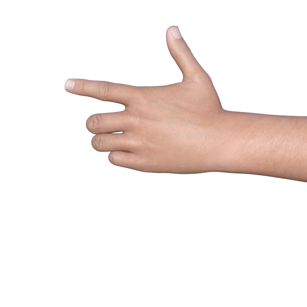 pose de manos gesto representación 3d png