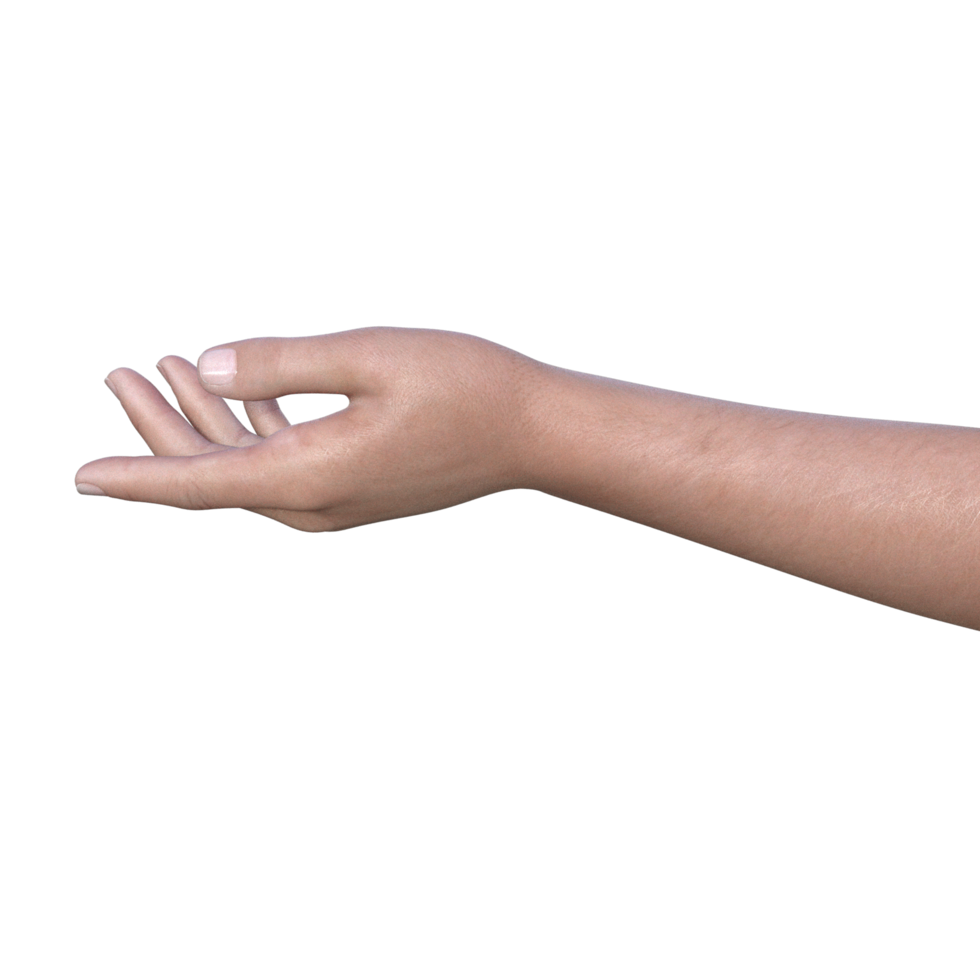 hands pose gesture 3d rendering png