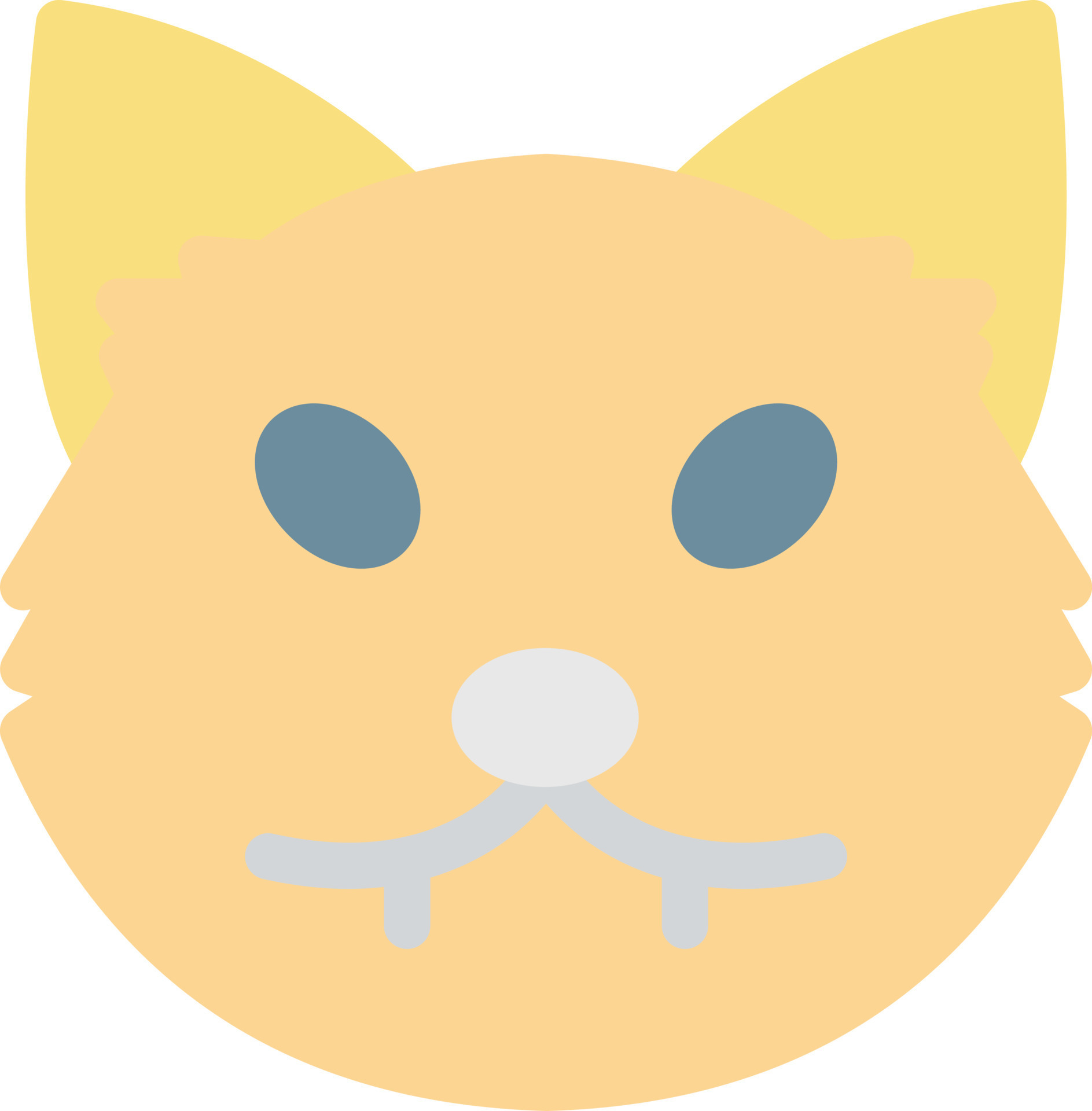 Premium Vector  Vector cute black cat icon illustration