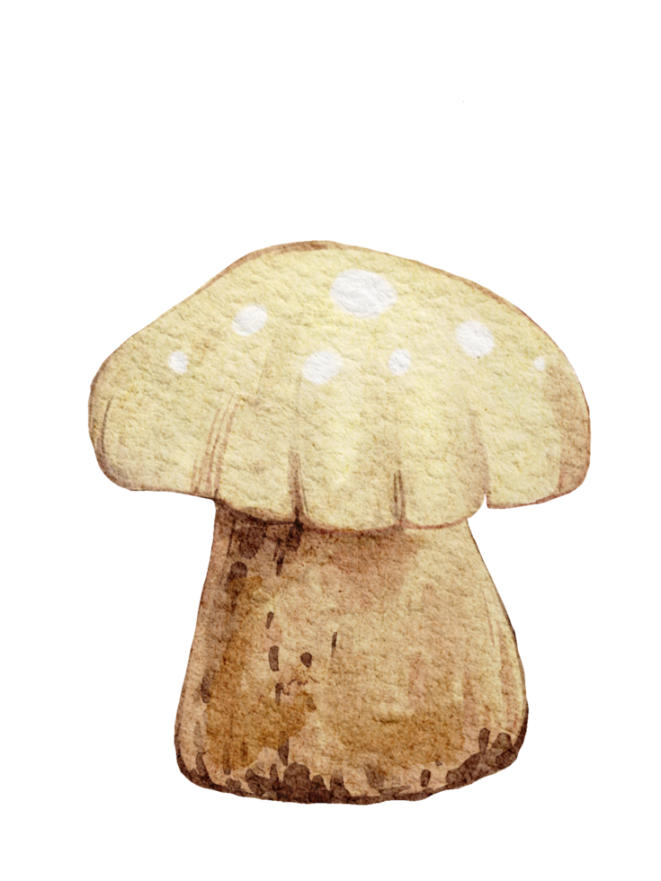 champignon sur fond transparent, illustration aquarelle éléments de dessin animé mignon de plante de la nature sauvage png