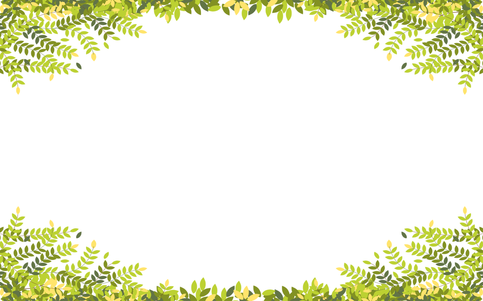 Spring branches with leaves on border with copy space, Green and Yellow leaves frame on white background, Vector illustration Panorama landscape summer leaves frame. png