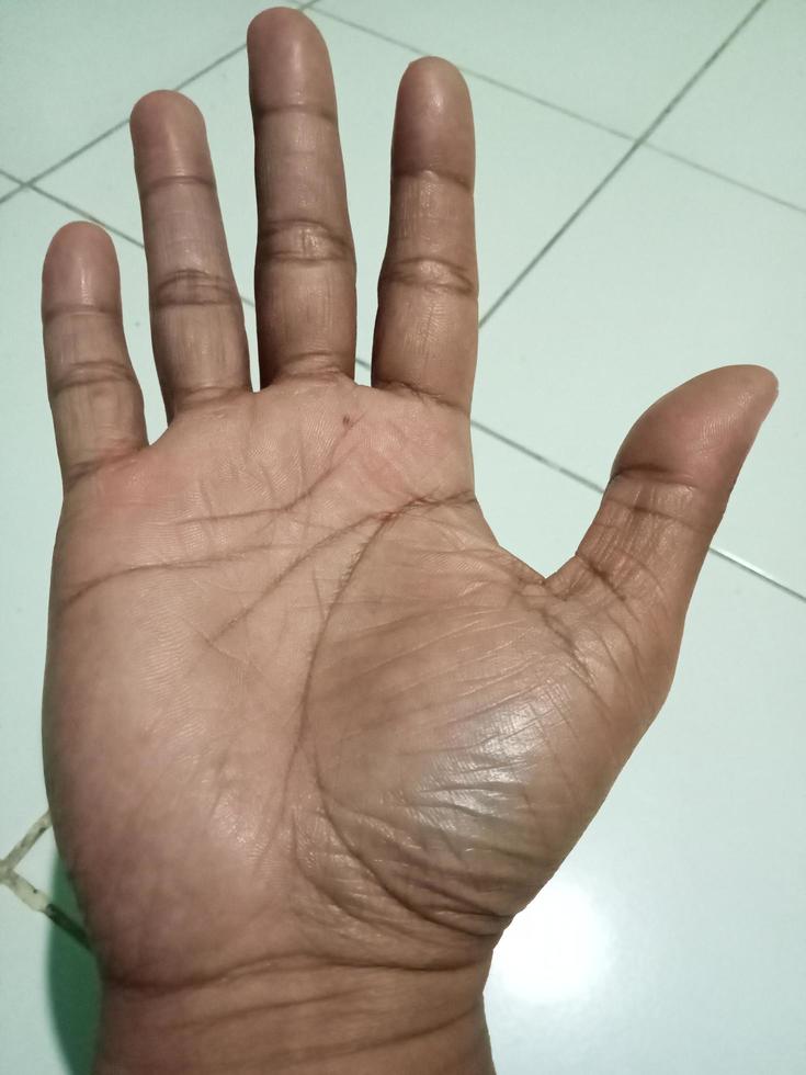 Human hand with five finger photo